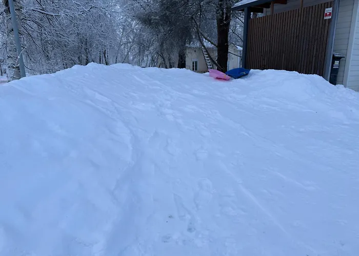 Arctic White Апартаменты *